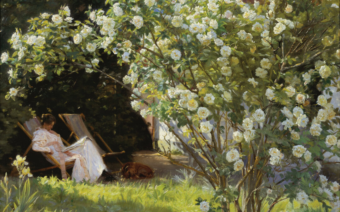 Summer Renewal