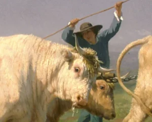 Rosa Bonheur Ploughing in the Nivernais Detail 2 500W